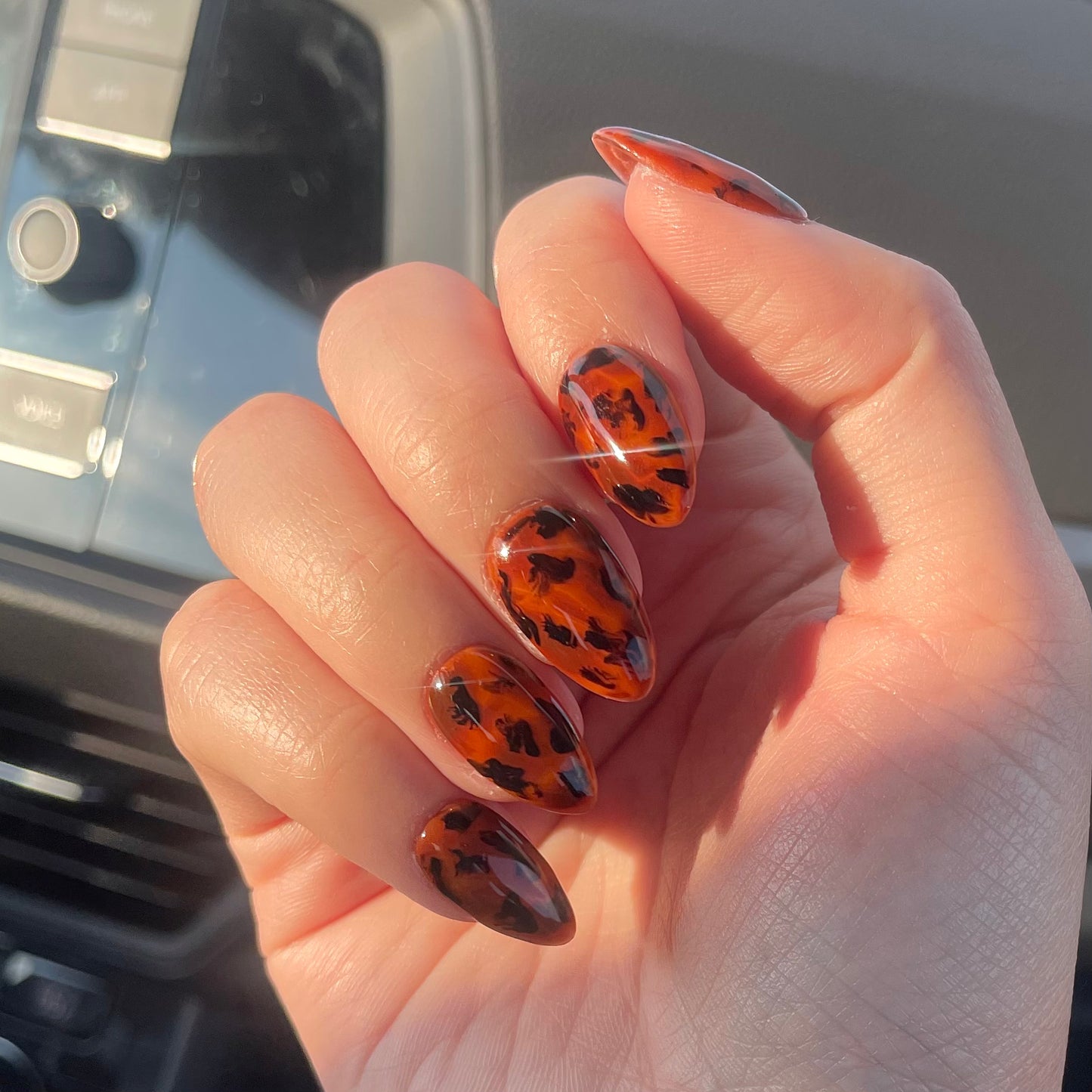tortoise shell